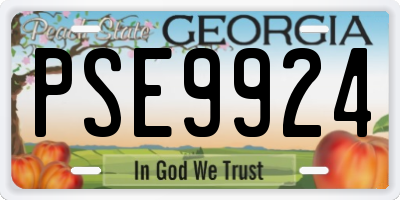 GA license plate PSE9924