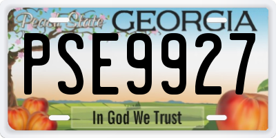 GA license plate PSE9927