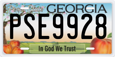 GA license plate PSE9928