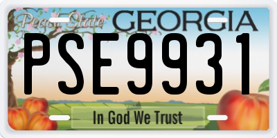 GA license plate PSE9931