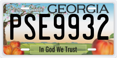 GA license plate PSE9932