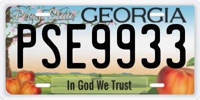 GA license plate PSE9933