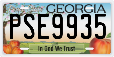 GA license plate PSE9935