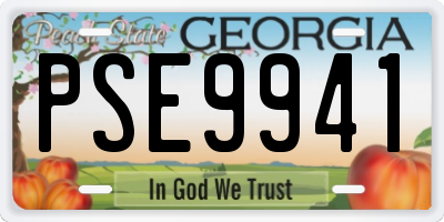 GA license plate PSE9941