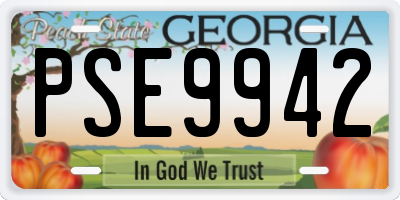 GA license plate PSE9942