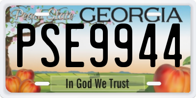 GA license plate PSE9944