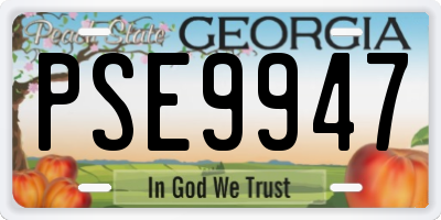 GA license plate PSE9947