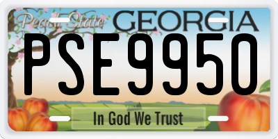 GA license plate PSE9950