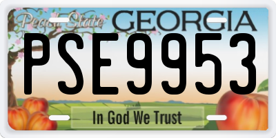 GA license plate PSE9953