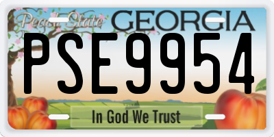 GA license plate PSE9954