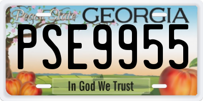 GA license plate PSE9955