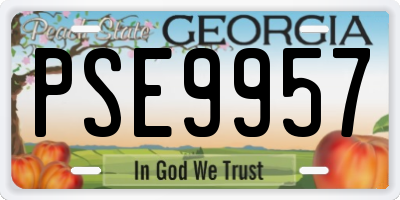 GA license plate PSE9957