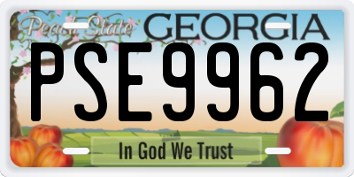 GA license plate PSE9962