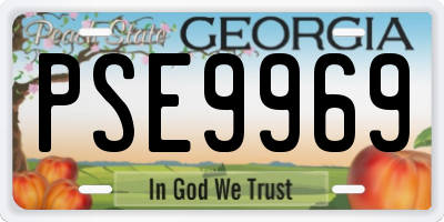 GA license plate PSE9969