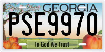 GA license plate PSE9970