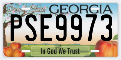GA license plate PSE9973