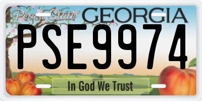 GA license plate PSE9974