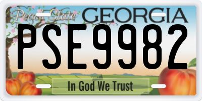 GA license plate PSE9982