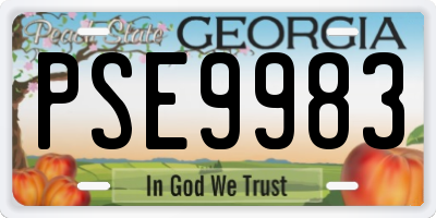 GA license plate PSE9983