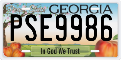 GA license plate PSE9986