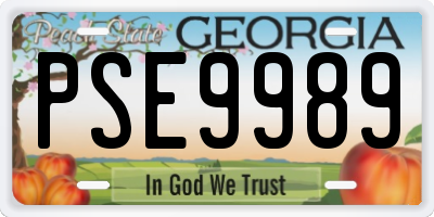 GA license plate PSE9989