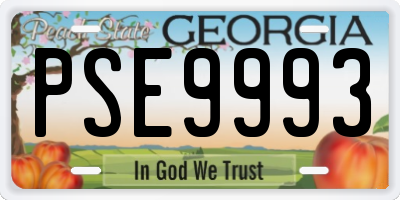 GA license plate PSE9993