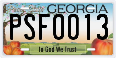 GA license plate PSF0013