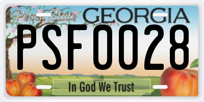 GA license plate PSF0028