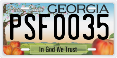 GA license plate PSF0035
