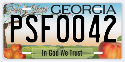 GA license plate PSF0042