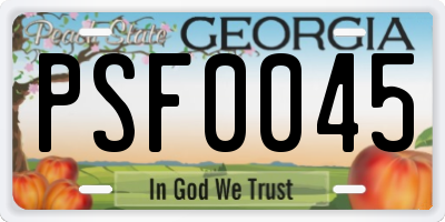 GA license plate PSF0045