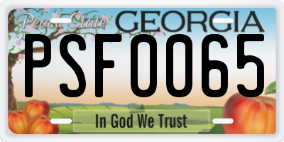 GA license plate PSF0065