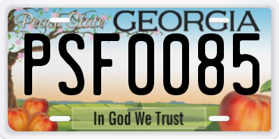 GA license plate PSF0085