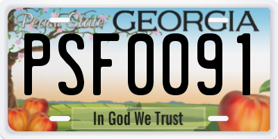GA license plate PSF0091