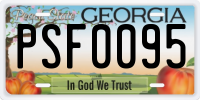 GA license plate PSF0095