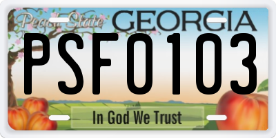 GA license plate PSF0103