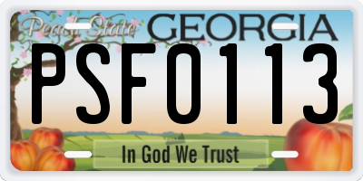 GA license plate PSF0113