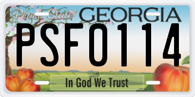 GA license plate PSF0114