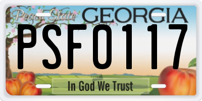 GA license plate PSF0117