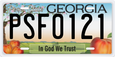 GA license plate PSF0121