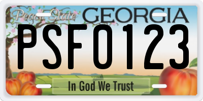 GA license plate PSF0123