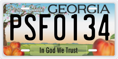 GA license plate PSF0134