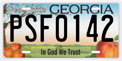 GA license plate PSF0142