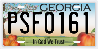 GA license plate PSF0161