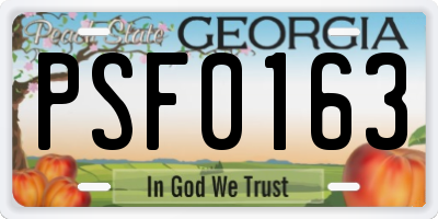 GA license plate PSF0163