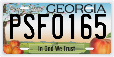GA license plate PSF0165