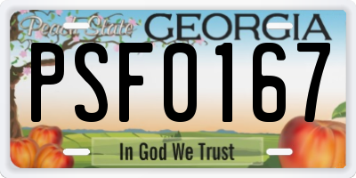 GA license plate PSF0167