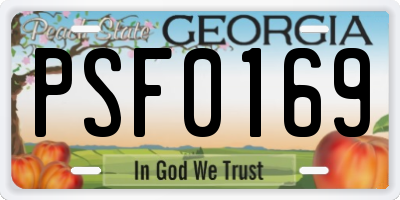 GA license plate PSF0169