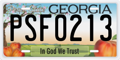 GA license plate PSF0213