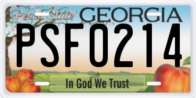 GA license plate PSF0214